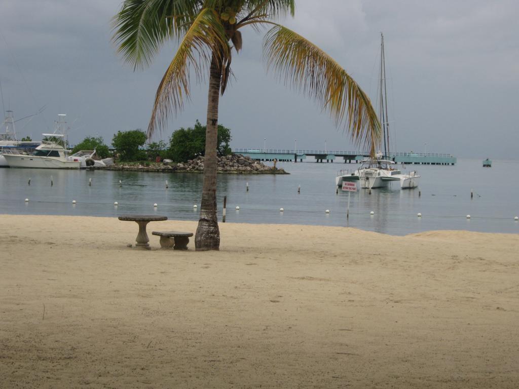 Marchabell By The Sea E22 Apartment Ocho Rios Cameră foto